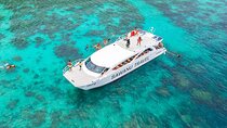 Phi Phi Islands and Khai Island by Premium Speed Catamaran