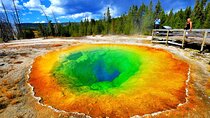 6-Day Yellowstone and Mount Rushmore Tour from Salt Lake City