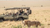 Private Overnight Maasai Mara Safari Tour from Nairobi