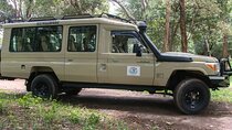 Safari Tour by Jeep to Amboseli National Park
