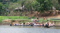 Private Tour Embera Village and Culture from Panama City