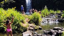 Halfway to Hana Private Tour Maui BlackBeach Waterfalls Turtles