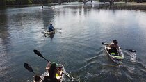 Downtown Austin Skyline Clear Kayak Tour at Lady Bird Lake