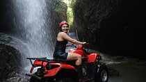 Bali Full day ubud tour And ATV Ride Waterfall 
