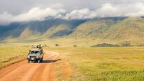 5 Days Migration and Ngorongoro Wonders