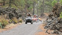 Forest Quad Trip in South Tenerife