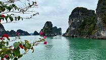 Bai Tu Long Bay 2 Days 1 Night Tour from Hanoi 