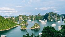Boutique Overnight Cruise in Halong Bay 2 Days 1 Night