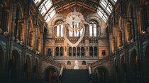 Natural History Museum Walking Guided Tour of London