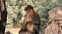  4 Day Fez Middle Atlas Immerse Yourself in Nature and Culture 