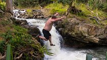 Small Group Waterfall and Rainforest Hiking Adventure on Maui