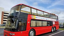 Double-Decker Open Top Bus Okinawa to Umikaji Terrace