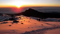 7 Days Private Machame Route Mountain Kilimanjaro Climbing