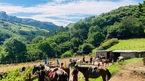 Explore Scenic Mountains and Horseback Riding 
