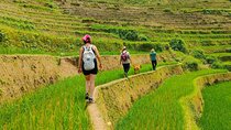 From Hanoi: Private 2-Day Mu Cang Chai Homestay & Trekking