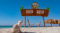 Hula Hula island Snorkeling Sea Trip, Lunch, Water Sport-Hurghada