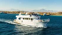 Private Boat To Hula Hula Island with Lunch & Transfer - Hurghada