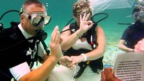 Deep Love Unique Underwater Wedding Proposal Adventure - Hurghada