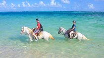 Shared horseback riding Punta Cana Beach