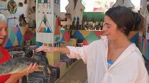  Experience in the Nubian Village in Aswan
