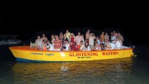Luminous Lagoon Night Tour from Montego Bay