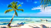 Full Day Saona Island Excursion with Lunch from Punta Cana