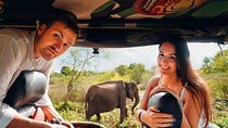 Galle/Mirissa/Tangalle: Transfer to Ella & Yala/Udawalawa Safari