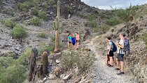 Family Fun Guided Hike in Phoenix, Arizona | Kids 10 & under free