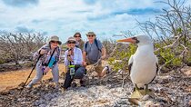 ISABELA II SEABIRD SANCTUARY EXPEDITION - NORTHEASTERN (Mon-Fri)