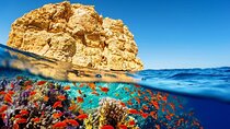 Abu Dabbab snorkeling day trip From Hurghada with Transfer