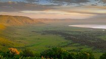 Full Day Ngorongoro Crater Adventure