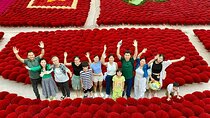 Incense Village Group Tour from Hanoi to Ninh Binh Old Capital