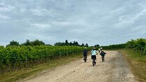 Chianti Classico Ebike Experience Tour and Wine Tasting