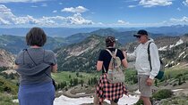 Snowbird Summer Excursion