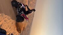 Evening Desert Safari with BBQ Buffet Camel Ride and Arabic Shows