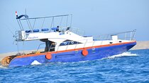 Private Boat Trip to Dolphin House W/ Transfer & Lunch :Hurghada