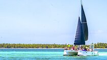 Up to 15 passengers Private Catamaran Sailing from Punta Cana