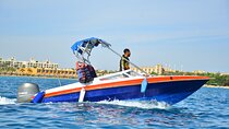 Private Speed Boat & Swim With Dolphins & Water Sports-hurghada