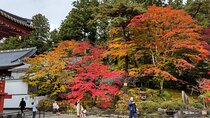  Nikko Toshogu and Kegon Waterfall with Certified Japanese Guide