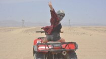 3 Hour Quad Biking Bedouin Village and Camels in Hurghada 