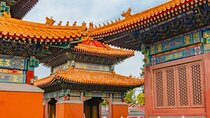 Beijing Hutong Walking Tour History, Architecture and Local Life