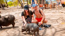 Koh Tan and Pig Island Half-Day Tour by Speed Catamaran