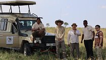 3-Day Private Safari in Tanzania: Tarangire, Ngorongoro & Manyara