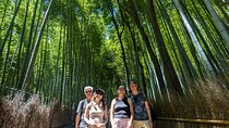 Private Walking Tour in the Arashiyama Bamboo Forest with Guide