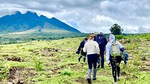 3 Days Gorilla & Golden Monkey Trekking Safaris