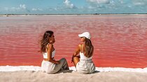 Las Coloradas Tour to Pink Lakes and Wildlife Wonders