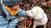Truffle Hunting and Lunch in Piedmont Trattoria