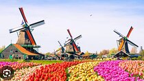 Windmills Country side tour Zaanse Schans-Cheesefactory-Volendam