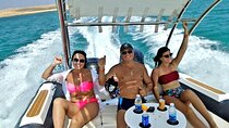 Dolphin trip with private speedboat and snorkeling