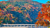 Kyoto Arashiyama: Fall Foliage Walking Tour【Autumn's limited】